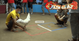 Trận 20 Bồ Thường Phước 17/1/2026 - Bảo Sting Chấp 5 Chấm Vẫn Thắng Đẳng Cấp