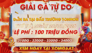 Thông Báo Giải Tonhon Cuối Cùng Của Năm Ngày 28/1/2026