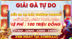 Thông Báo Giải Gà Tự Do Bồ Tonhon Ngày 11/1/2026