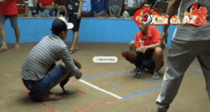 Trận 22 Bồ Thường Phước 18/1/2026 - Que Cọp Đâm Điều La Miệng Tích Tắc