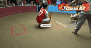 Trận 28 Bồ Thường Phước 17/1/2026 - Khét Đâm Cựa Khủng Úa Lọt Cựa Nằm Tại Chỗ