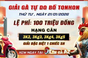 Giải Gà Tự Do Bồ Tonhon Ngày 19/1/2026