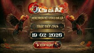 Xem Full Video Đá Gà CPC4 Ngày 19/02/2026
