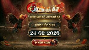 Xem Full Video Đá Gà CPC4 Ngày 24/02/2026