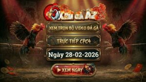 Xem Full Video Đá Gà CPC4 Ngày 28/02/2026