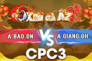 Trận 11 Bồ CPC3 7/3/2026 - Điều Cọp Đá Cựa Như Sam Xít Xanh Lọt Mấy Cây Lưng Té Xe