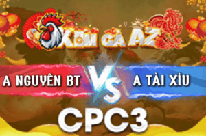 Trận 12 Bồ CPC3 15/3/2026 - Vàng Đá Tà Tà Cũng Đâm Bướm Té