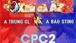 Trận 12 Bảo Sting 2/3/2026 - Bảo Sting Cho Nặng Hơn 3 Chấm Gà Gặp Anh Trung Xịn