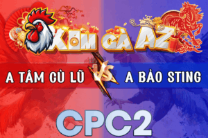 Trận 13 Bồ CPC2 7/3/2026 - Chấp 5 Chấm 2 Idol Lấy Xe Chở Tiền