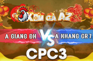 Trận 17 Bồ CPC3 7/3/2026 - Điều Đỏ Đâm Quá Đâm Xanh Lọt Cựa Hết Phản