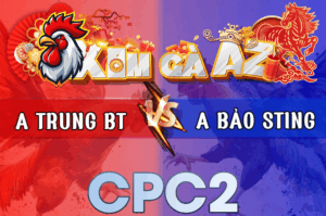 Trận 18 Bồ CPC2 7/3/2026 - Bướm Cọp Siết 1 Tay Nước Đâm Bông Cứng Mình Chạy