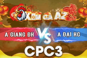 Trận 18 Bồ CPC3 7/3/2026 - Chuối Anh Giang Đâm Cựa Khủng Tay Nước Đầu Có Kết Quả