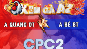 Trận 19 Bồ CPC2 2/3/2026 - Bé Bến Tre Đưa Cọp Ra Đá 1 Chân Giết Gà Anh Quang Vũng Tàu