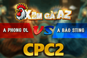 Gà Cụt Ngón Của Bảo Sting Ăn Hơn Chục Cái Nay Rớt Lại Trước Anh Nu - Trận 20 Bồ CPC2 24/3/2026