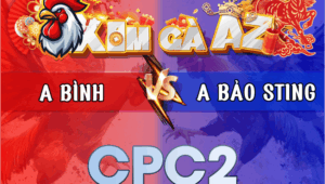 Trận 30 Bồ CPC2 2/3/2026 - Bảo Sting Ôm Gà Bông Vào Chồng Độ Gặp Thách Thức Lớn