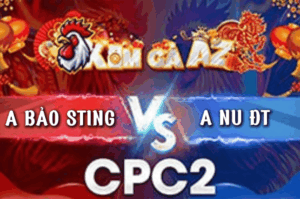 Bảo Sting Và Nu Đồng Tháp Đẩy Trận Gà Căng Thẳng Lên Tột Đỉnh - Trận 25 Bồ CPC2 18/3/2026