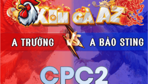 Trận 29 Bồ CPC2 2/3/2026 - Bảo Sting Căng Não Trước Anh Trưởng Tới Phút 90