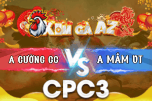 Trận 33 Bồ CPC3 12/3/2026 - Que Đá Điều Như Cha Đánh Con Điều Rinh Ra Nhanh Gọn