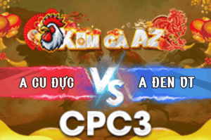 Trận 37 Bồ CPC3 12/3/2026 - Xanh Dí Bạc Cho Cố Buông Ra Đá Hư Hình