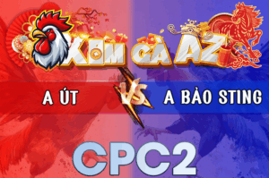 Trận 42 Bồ CPC2 6/3/2026 - Anh Bảo Kết Hợp Anh Kiểm Về Bờ Thành Công