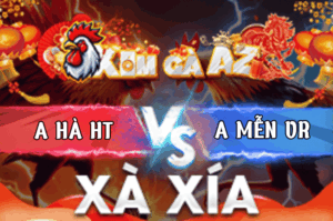 Trận 6 Bồ Xà Xía 8/3/2026 - Điều Anh Mễn Vô Dàn Nạp Nóng Lạnh Chủ Bồ Xách Đuôi Ra Khỏi Bồ