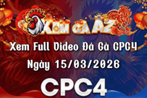 Xem Full Video Đá Gà CPC4 Ngày 15/03/2026