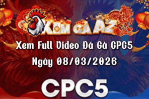 Xem Full Video Đá Gà CPC5 Ngày 08/03/2026