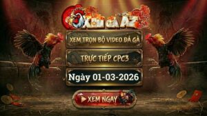 Xem Full Video Đá Gà CPC3 Ngày 01/03/2026
