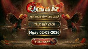 Xem Full Video Đá Gà CPC5 Ngày 02/03/2026