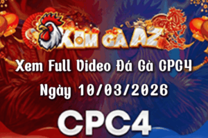 Xem Full Video Đá Gà CPC4 Ngày 10/03/2026