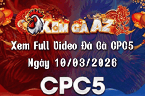 Xem Full Video Đá Gà CPC5 Ngày 10/03/2026