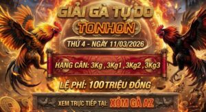 Giải Gà Tự Do Bồ Tonhon Ngày 11/3/2026