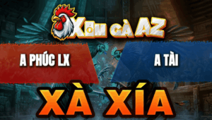 Trận 10 Bồ Xà Xía 22/4/2026 - Xanh Chấp 1 Ký Có Chân Cúp Điện Quá Hay