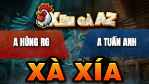 Trận 10 Bồ Xà Xía 24/4/2026 - Đỏ Đá Như Súng Bắn Hạ Xanh Gục Tại Chỗ