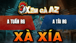 Trận 11 Bồ Xà Xía 24/4/2026 - Bướm Đâm Chân Nghiệt Điều Té Tại Mức