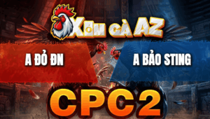 Trận 11 Bồ CPC2 25/4/2026 - Trận Gà Gay Cấn Idol Nóng Bỏ Gà Định Bỏ Trận Giữa Chừng