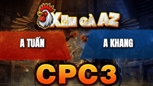 Trận 12 Bồ CPC3 25/4/2026 - Gà Xám Cú Trây 1 Tăng Đưa Bông Về Cát Bụi