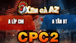 Trận 14 Bồ CPC2 20/4/2026 - Đỏ To Xác Xanh Đá 2 Tay Nước Quay Đầu Bỏ Chạy