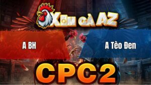 Trận 15 Bồ CPC2 29/4/2026