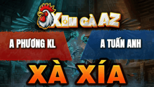 Trận 15 Bồ Xà Xía 24/4/2026 - Đỏ Chụp Siết Quá Giỏi Xanh Té Chết Tại Chỗ