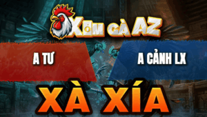 Trận 16 Bồ Xà Xía 28/4/2026 - Đỏ Đá Cựa Hạ Xanh Nhẹ Nhàng