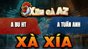 Trận 16 Bồ Xà Xía 29/4/2026 - Bướm Đá Ăn Tới Xanh Gồng Cầm Hòa Thành Công