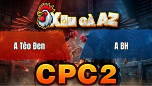 Trận 17 Bồ CPC2 29/4/2026