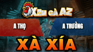 Trận 18 Bồ Xà Xía 28/4/2026 - Bướm Đâm Như Cái Máy Điện Khét Ói Hết Phản