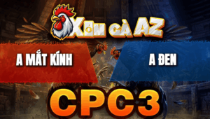 Trận 18 Bồ CPC3 26/4/2026 - Xanh Quá Lì Lợm Đâm Đỏ Hết Thấy Đường Ra