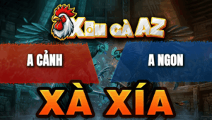 Trận 19 Bồ Xà Xía 28/4/2026 - Xám Đá Lọt Cây Hiểm Bướm Ói La Miệng