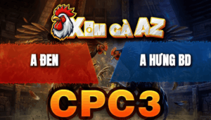 Trận 19 Bồ CPC3 23/4/2026 - Điều Siết 1 Tăng Buông Ra Bông Nằm Tại Mức