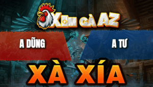 Trận 2 Bồ Xà Xía 29/4/2026 - Điều Dở Giò Là Đâm Chuối Lọt Cựa Bỏ Chạy