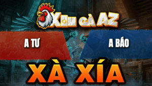 Trận 20 Bồ Xà Xía 29/4/2026 - Đỏ Đá Như Sát Thủ Hạ Xanh Gọn Gàng