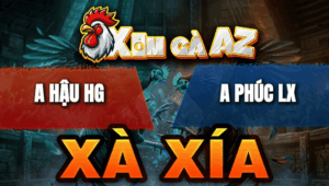 Trận 21 Bồ Xà Xía 24/4/2026 - Bướm Úa Canh Chặn Tốt Đá Xanh Hư Hình